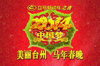 2014年臺(tái)州春節(jié)聯(lián)歡晚會(huì) pic1